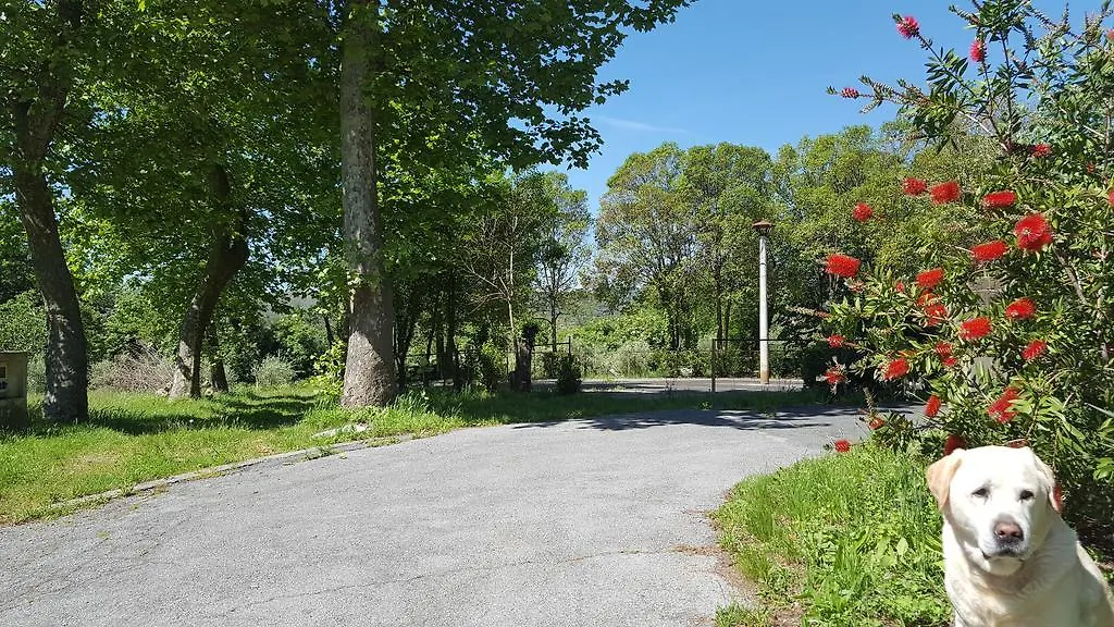 Hotel La Pineta Cogoleto